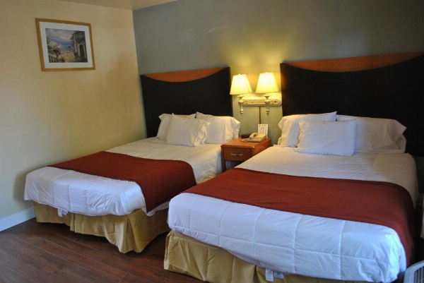 موتيل غروب الشمس image 23