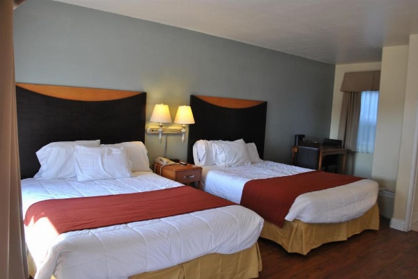 موتيل غروب الشمس image 25