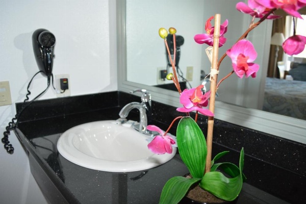 موتيل غروب الشمس image 57