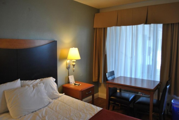 موتيل غروب الشمس image 60