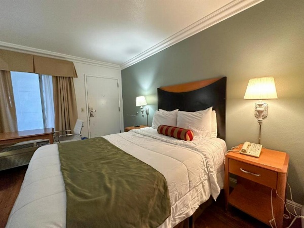 موتيل غروب الشمس image 8